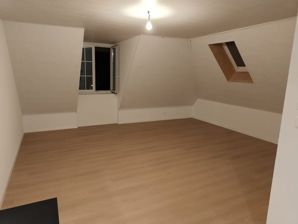 Grand appartement lumineux de 2,5 pièces 3