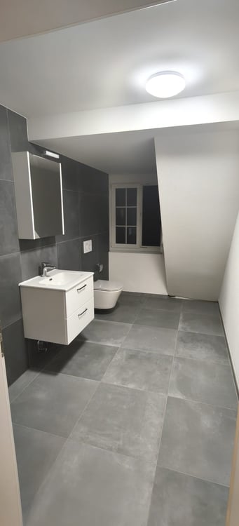 Grand appartement lumineux de 2,5 pièces 6