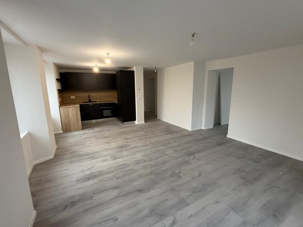 Appartements 4.5 pièces rénovés à La Chaux-de-Fonds 1