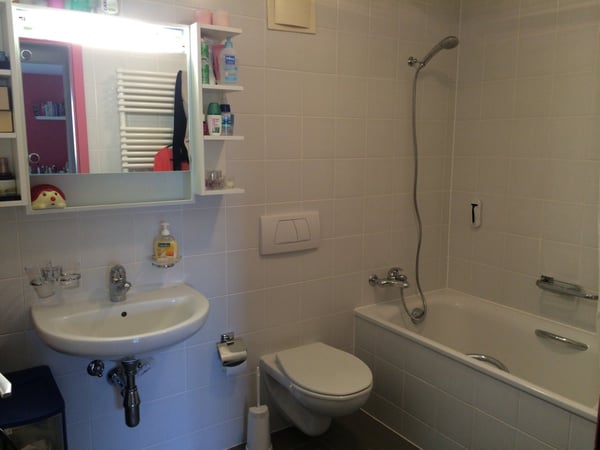 Charming 1.5-Room Furnished Apartment in Historic Montpreveyres 13