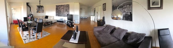 Charming 1.5-Room Furnished Apartment in Historic Montpreveyres 3