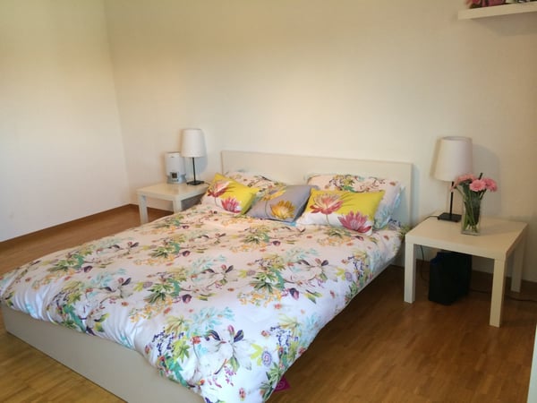 Charming 1.5-Room Furnished Apartment in Historic Montpreveyres 16