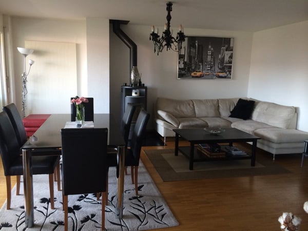 Charming 1.5-Room Furnished Apartment in Historic Montpreveyres 9