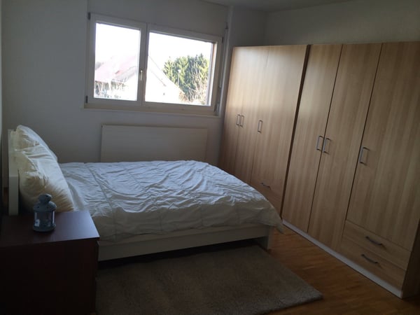 Charming 1.5-Room Furnished Apartment in Historic Montpreveyres 4