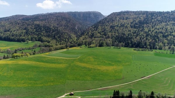 Votre futur lieu de vie entre nature et modernité 11