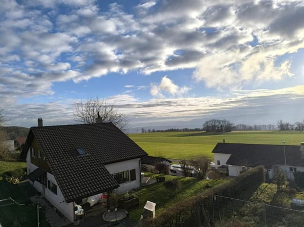 Villa jumelle 1.5 pièces à Prêles 8