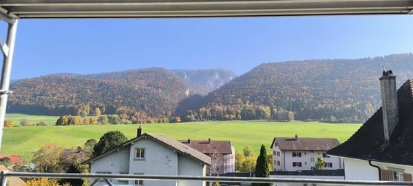 Appartement 1.5 pièces à Villeret 12