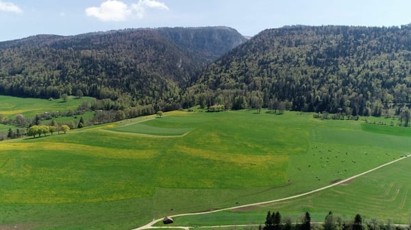 Appartement 1.5 pièces à Villeret 9