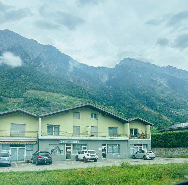 Superbe opportunité - Appartement de 4.5 pièces à Fully 1