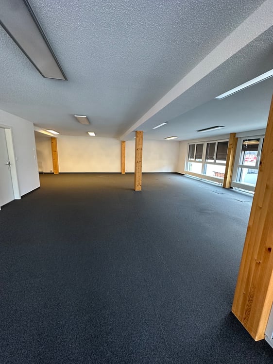 À louer – Grand local commercial moderne, spacieux et lumineux 4