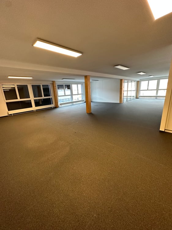 À louer – Grand local commercial moderne, spacieux et lumineux 8