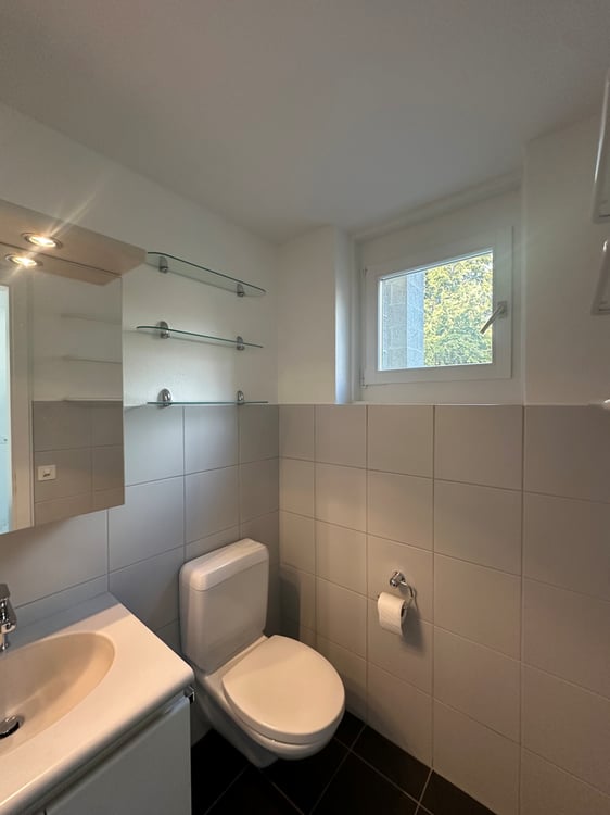 Grosszügiges 1.5 Zimmer-Reiheneinfamilienhaus an idealer Lage 6