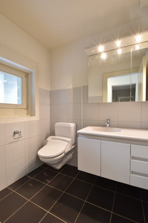 Grosszügiges 1.5 Zimmer-Reiheneinfamilienhaus an idealer Lage 10