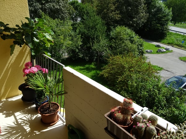 Gemütliche Wohnung mit Blick auf die Bergen! 2