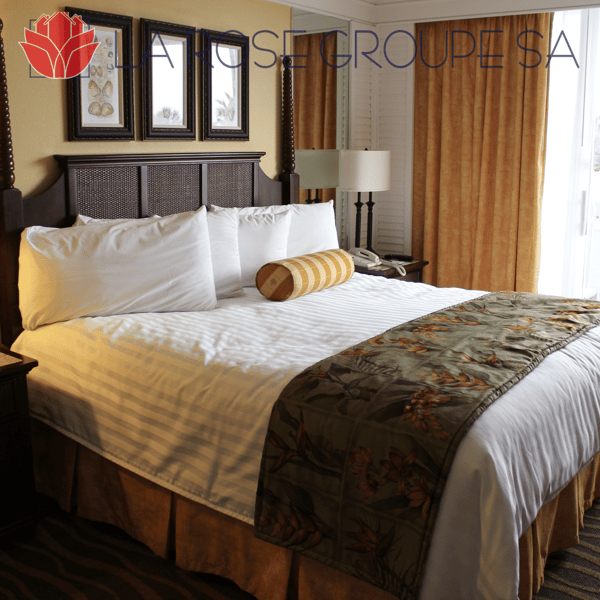 Hôtel d’exception à vendre 7