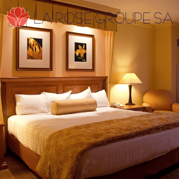 Hôtel d’exception à vendre 2