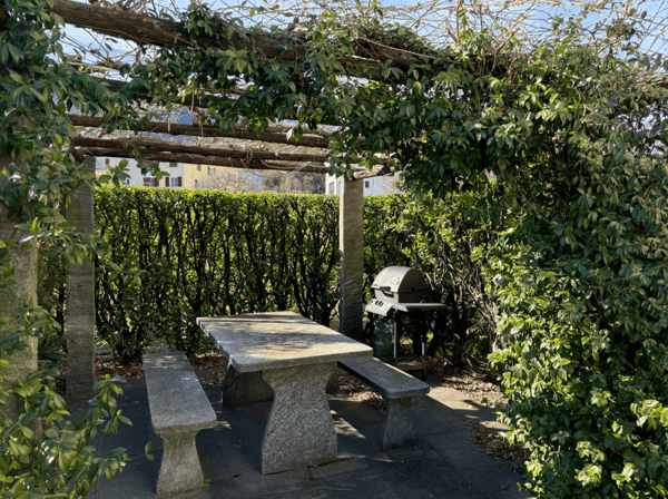 3.5-Zimmer-Gartenwohnung mit Garage in Losone 3