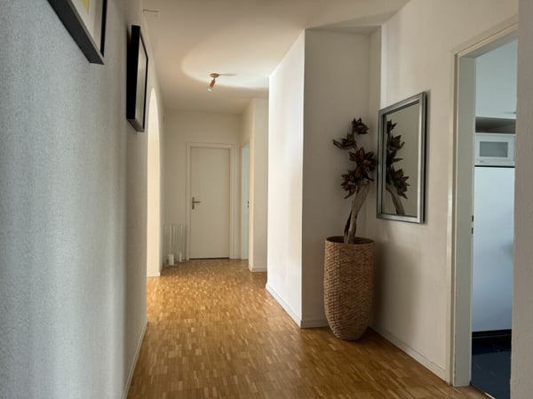 3.5-Zimmer-Gartenwohnung mit Garage in Losone 12