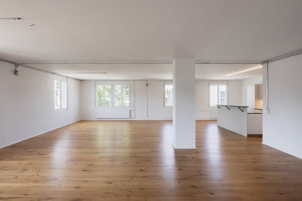 Grosse Familien Wohnung im Grünen und doch Zentral 5