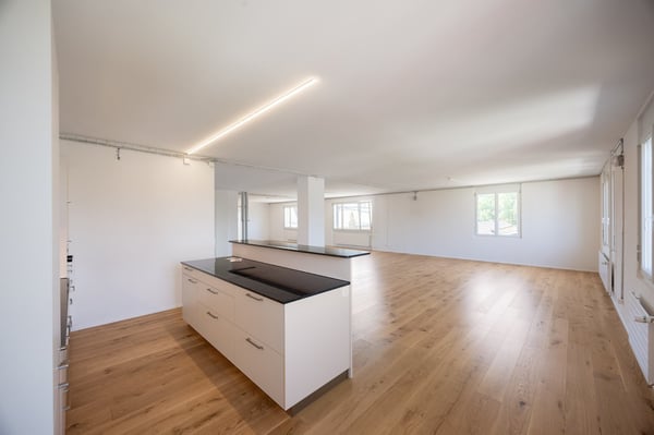 Grosse Familien Wohnung im Grünen und doch Zentral 7