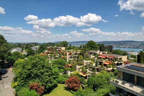 4.5-Zimmer-Terrassenhaus im Grünen mit Renovationspotential 7
