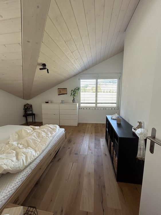 Moderne Dachwohnung mit Blick ins Grüne 7