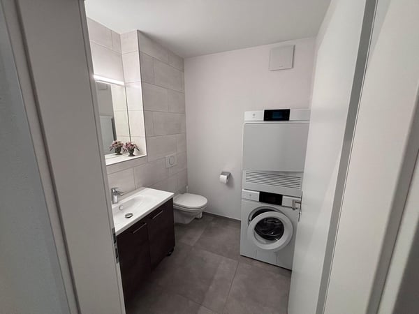 Moderne Dachwohnung mit Blick ins Grüne 4