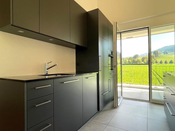 Moderne Dachwohnung mit Blick ins Grüne