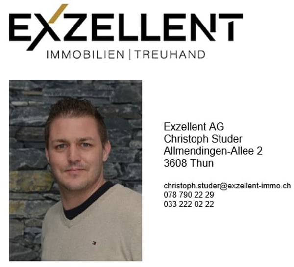 Grosse Neubau 7.5 Zimmer Dach-Wohnung mit Galerie 10