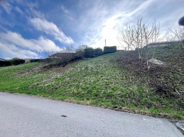 Attraktive Baulandparzelle von 659 m2 in Lüscherz an der Seestrasse 5