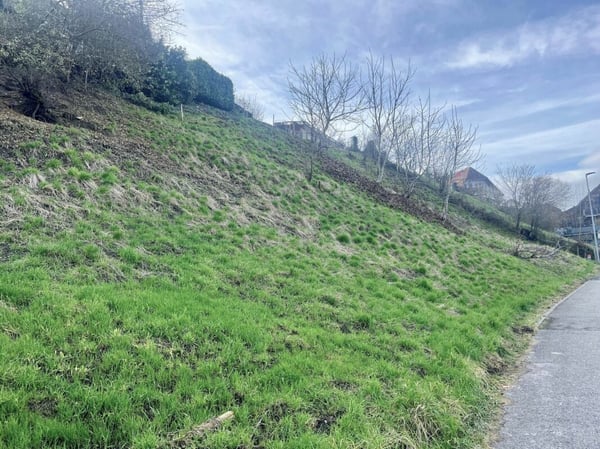 Attraktive Baulandparzelle von 659 m2 in Lüscherz an der Seestrasse 4