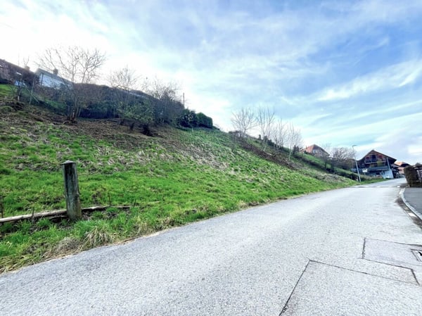 Attraktive Baulandparzelle von 659 m2 in Lüscherz an der Seestrasse 8