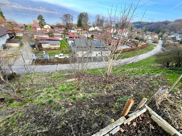 Attraktive Baulandparzelle von 659 m2 in Lüscherz an der Seestrasse 11