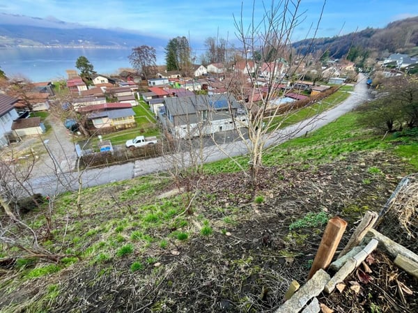 Attraktive Baulandparzelle von 659 m2 in Lüscherz an der Seestrasse 7