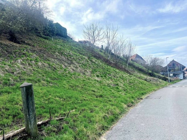 Attraktive Baulandparzelle von 659 m2 in Lüscherz an der Seestrasse 10