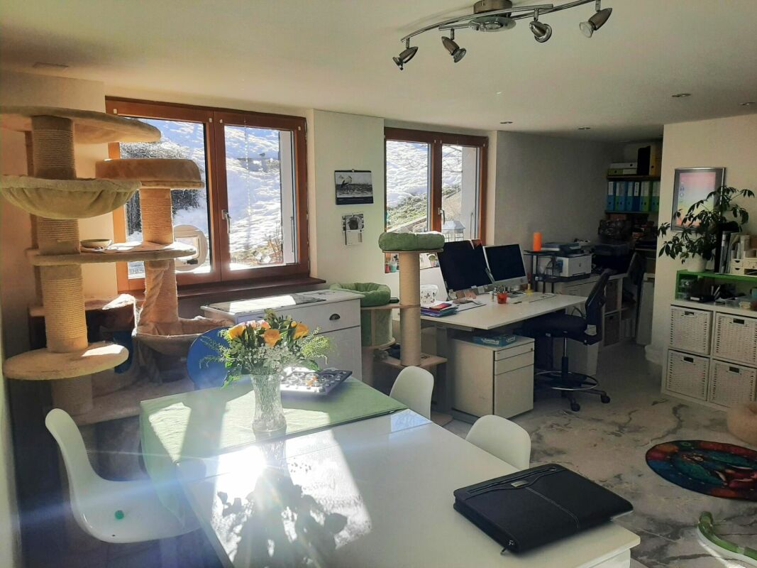 Gepflegtes 6-Zimmer-EFH inklusive Einliegerwohnung an traumhafter Lage in Schwarzsee FR