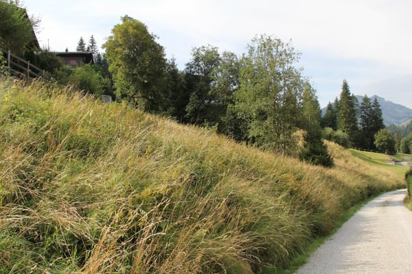 Grosse Baulandparzelle von 906 m2 an erhöhter Lage in Plaffeien FR 5