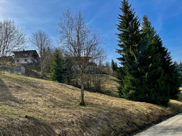 Grosse Baulandparzelle von 906 m2 an erhöhter Lage in Plaffeien FR 4