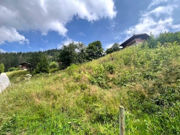Zu verkaufen Baulandparzelle an erhöhter Lage in Plaffeien FR - Schwarzsee 11