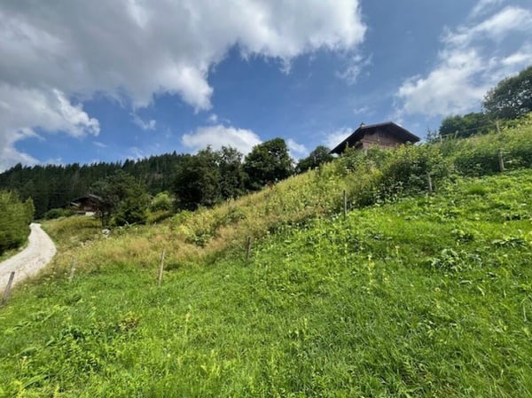 Zu verkaufen Baulandparzelle an erhöhter Lage in Plaffeien FR - Schwarzsee 4