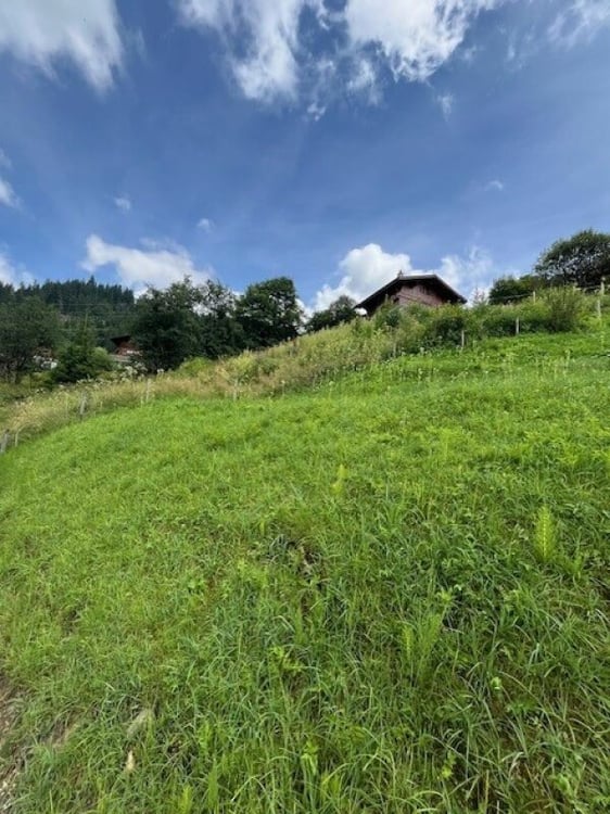 Zu verkaufen Baulandparzelle an erhöhter Lage in Plaffeien FR - Schwarzsee 6