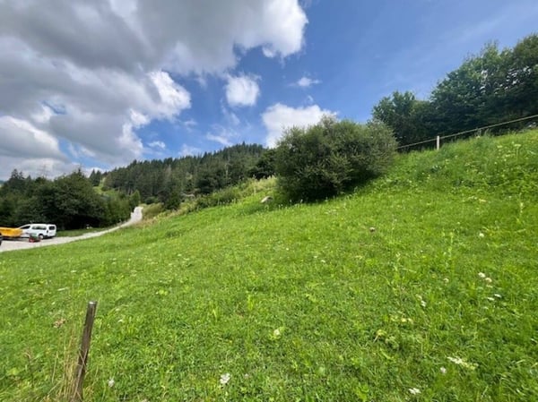 Zu verkaufen Baulandparzelle an erhöhter Lage in Plaffeien FR - Schwarzsee 3