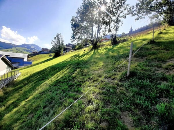 Teilerschlossenes Bauland an sonniger Hanglage in Zweisimmen BE 2