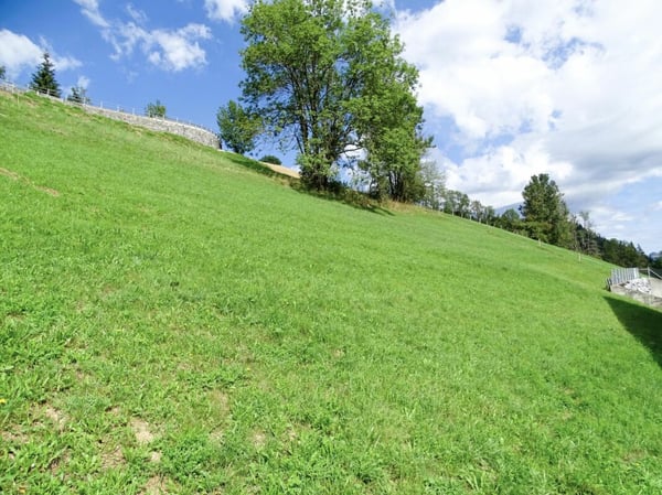 Baulandparzelle an Hanglage in Zweisimmen BE 2