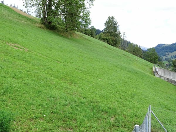 Baulandparzelle an Hanglage in Zweisimmen BE 1