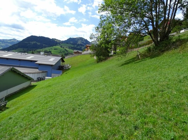 Bauland von 717 m2 an sonniger Hanglage in Zweisimmen BE 3