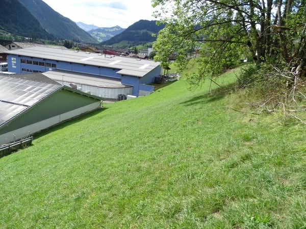 Bauland von 717 m2 an sonniger Hanglage in Zweisimmen BE 6