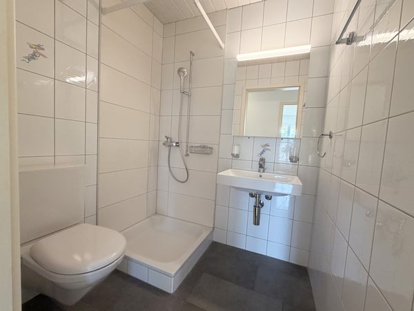 Helle 4.5-Zimmer-Dachwohnung mit Balkon 6