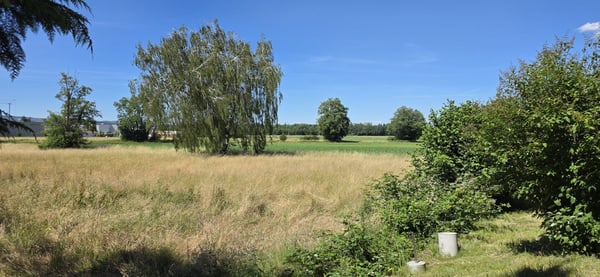Neu sanierte helle 4-Zimmer-Wohnungen mit Balkon in ruhiger Lage – Schlatt TG 12