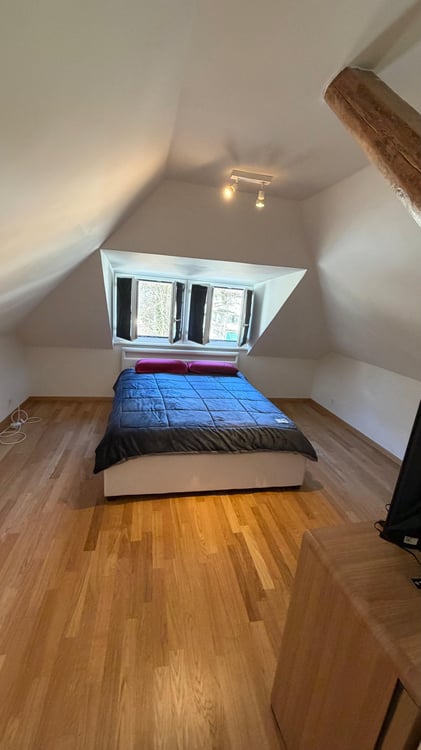 Magnifique appartement de 3.5 pièces en attique 5